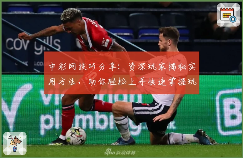 中彩网技巧分享：资深玩家揭秘实用方法，助你轻松上手快速掌握玩法秘诀