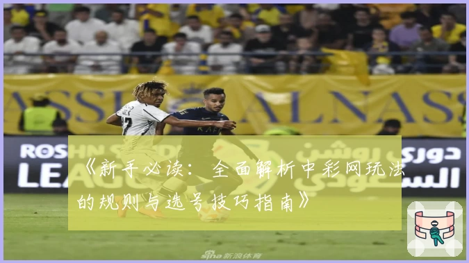 《新手必读：全面解析中彩网玩法的规则与选号技巧指南》