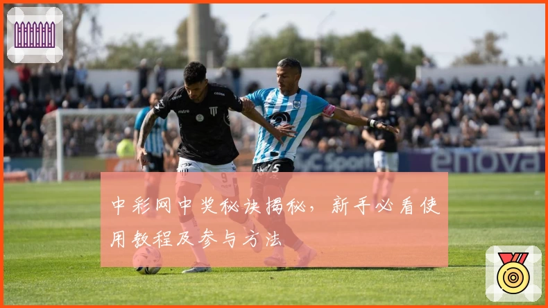 中彩网中奖秘诀揭秘，新手必看使用教程及参与方法