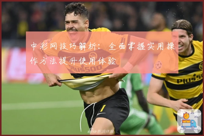 中彩网技巧解析：全面掌握实用操作方法提升使用体验