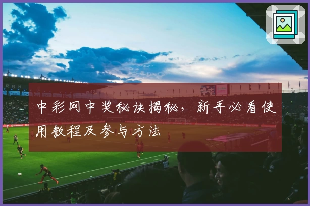 中彩网中奖秘诀揭秘，新手必看使用教程及参与方法