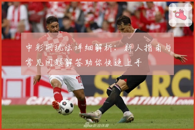 中彩网玩法详细解析：新人指南与常见问题解答助你快速上手