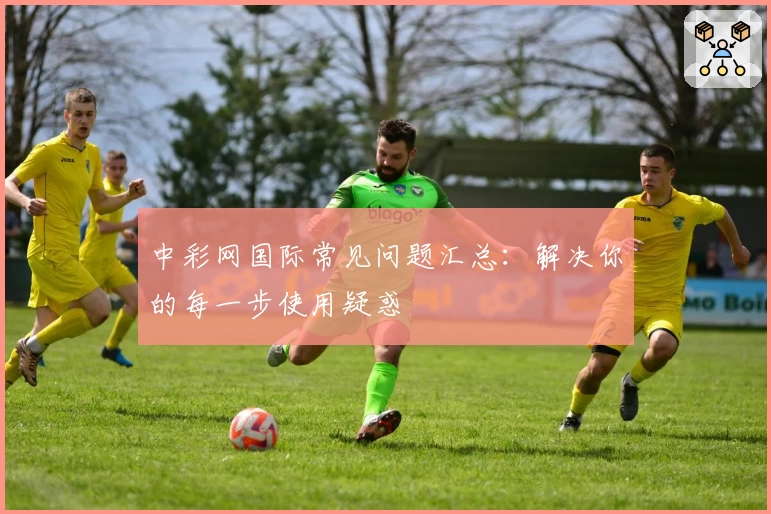 中彩网国际常见问题汇总：解决你的每一步使用疑惑